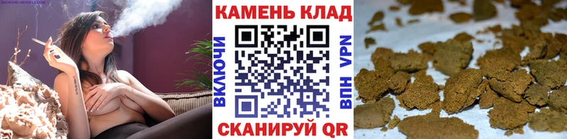Магазины продажи наркотиков Шацк АМФЕТАМИН  Кокаин  Alpha PVP 