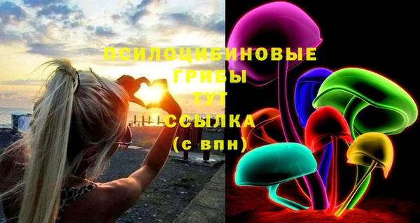 ешки Армянск