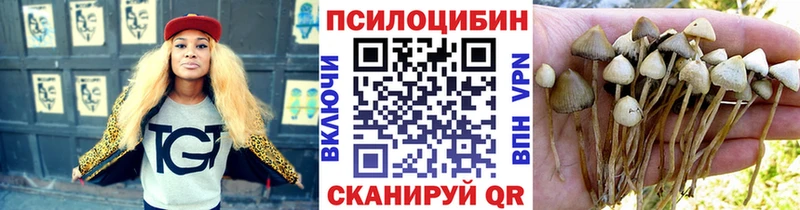 Галлюциногенные грибы мухоморы  это телеграм  Шацк 